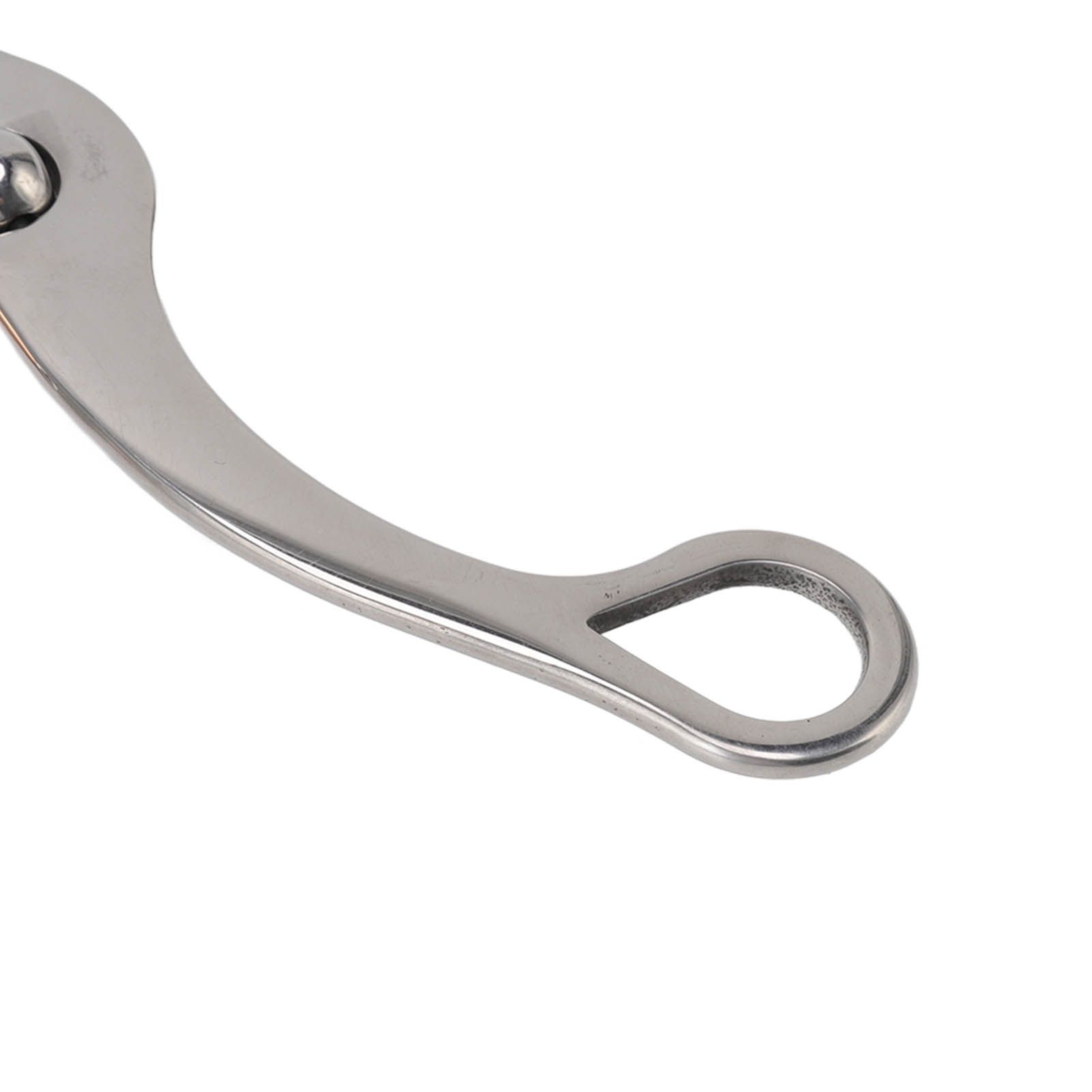 Horse Snaffle Bit Stainless Steel Rose Gold Plated Horse Gag Loose Ring view 13