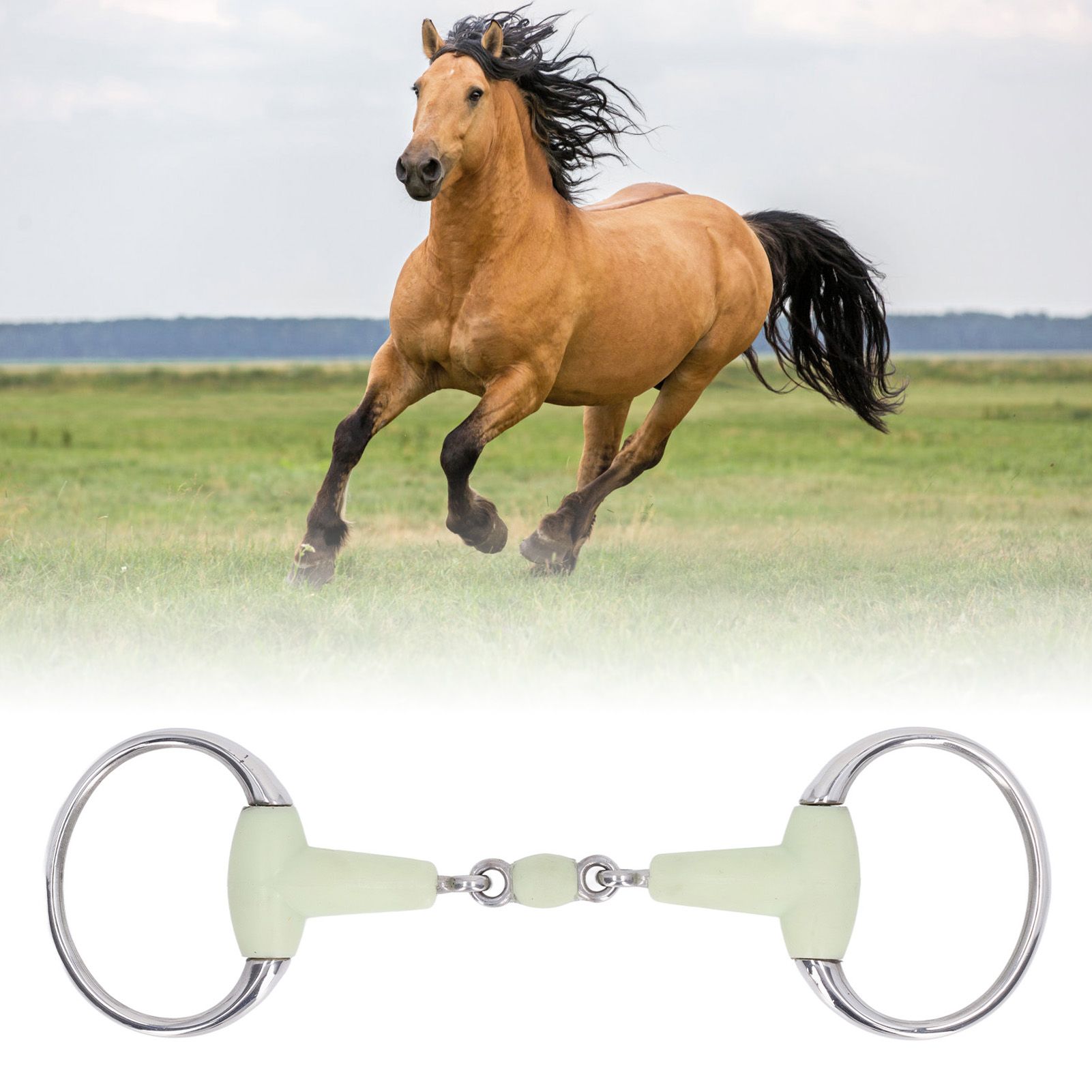 Horse Snaffle Bit Stainless Steel Horse Snaffle Roller Garden Breeding Mouth view 11
