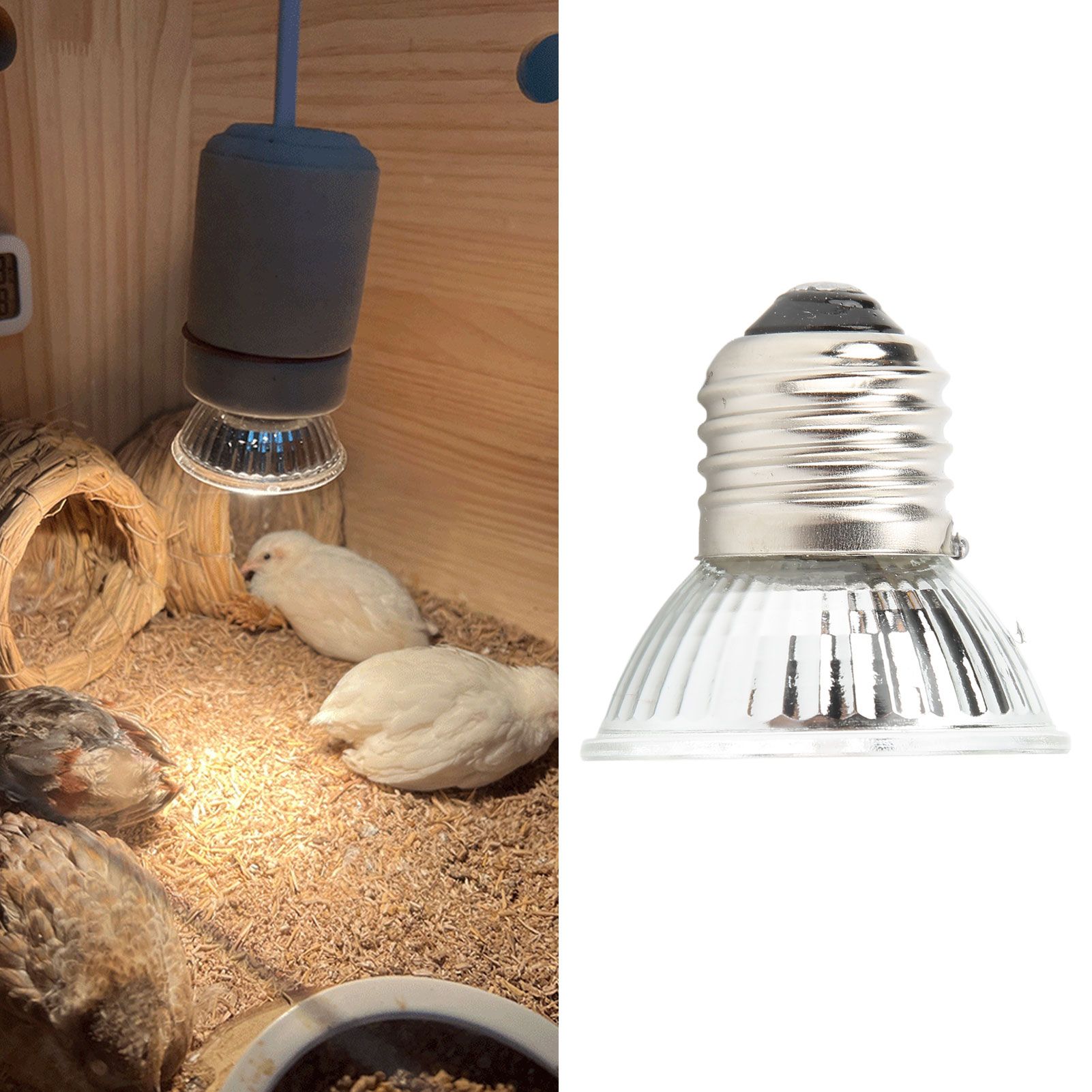 UVB Reptile Heat Lamp Bulbs Full Spectrum Energy Saving Sunbathe Heat Lamp for view 12