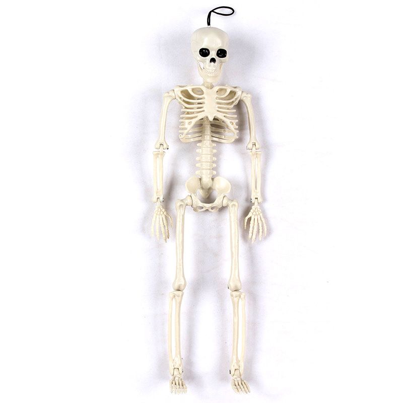 Halloween Skull Skeleton Decoration Simulated Human Plastic Bones Haunted view 4
