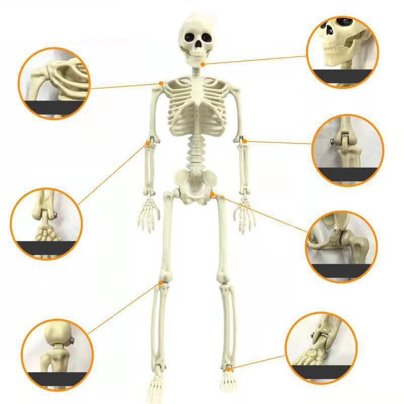Halloween Skull Skeleton Decoration Simulated Human Plastic Bones Haunted view 5