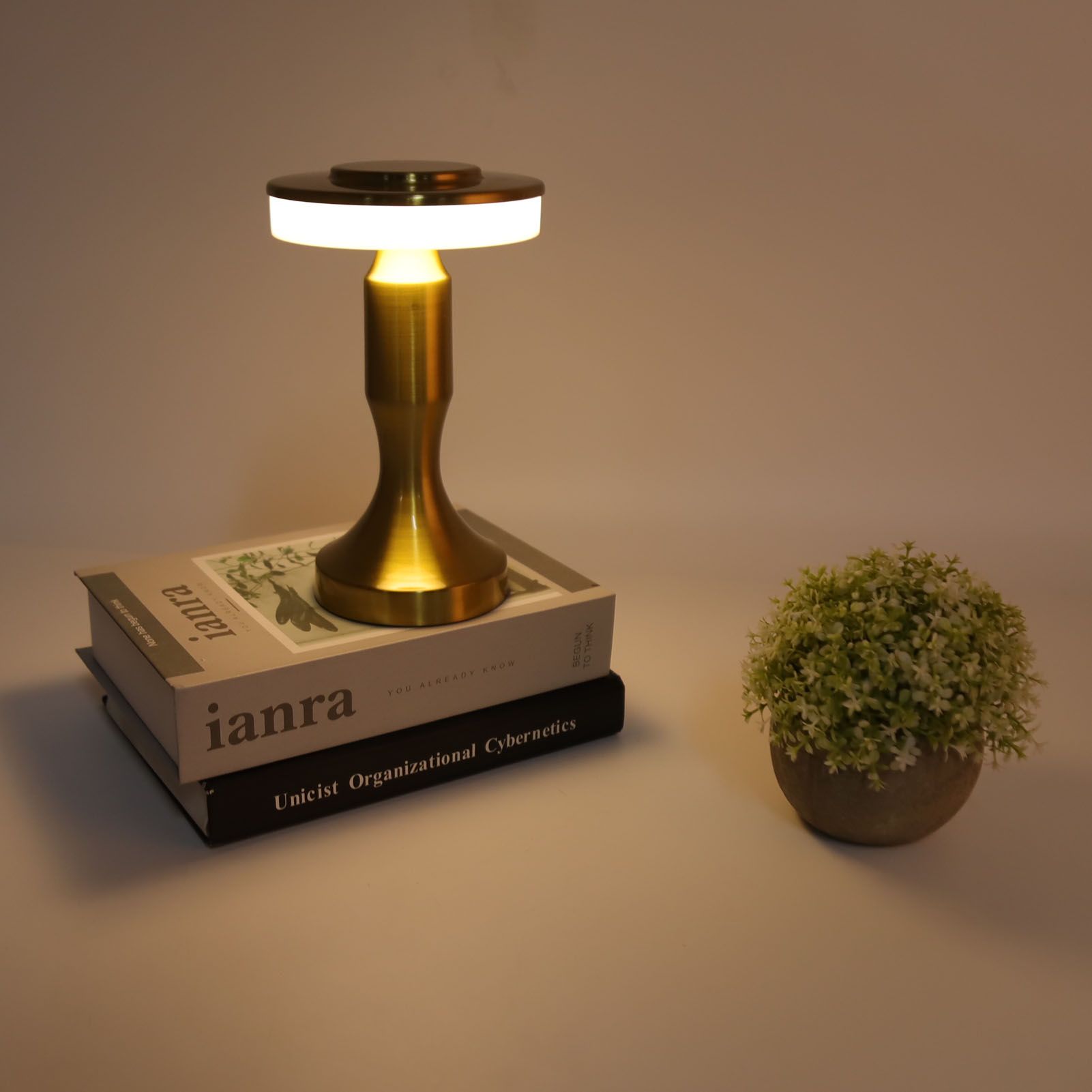 Portable LED Table Lamp Touch Sensor 3 Color Temperatures Rechargeable Battery view 9