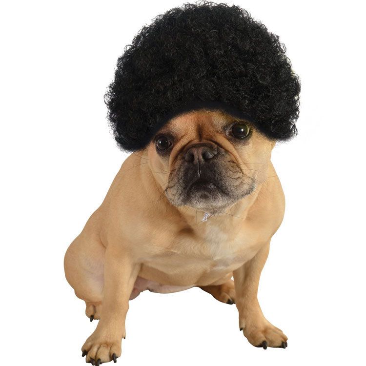 FUN OF PETS Pet Wig Short Curly Hair Black view 2