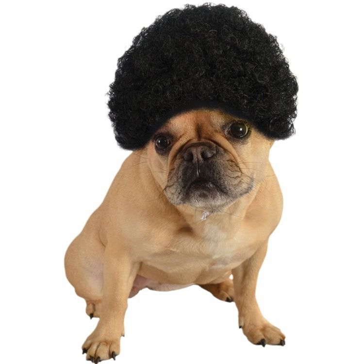FUN OF PETS Pet Wig Short Curly Hair Black view 3