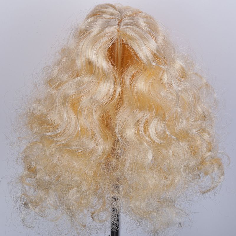 Pet Wig Long Curly Light Gold K Silk P Silk view 3