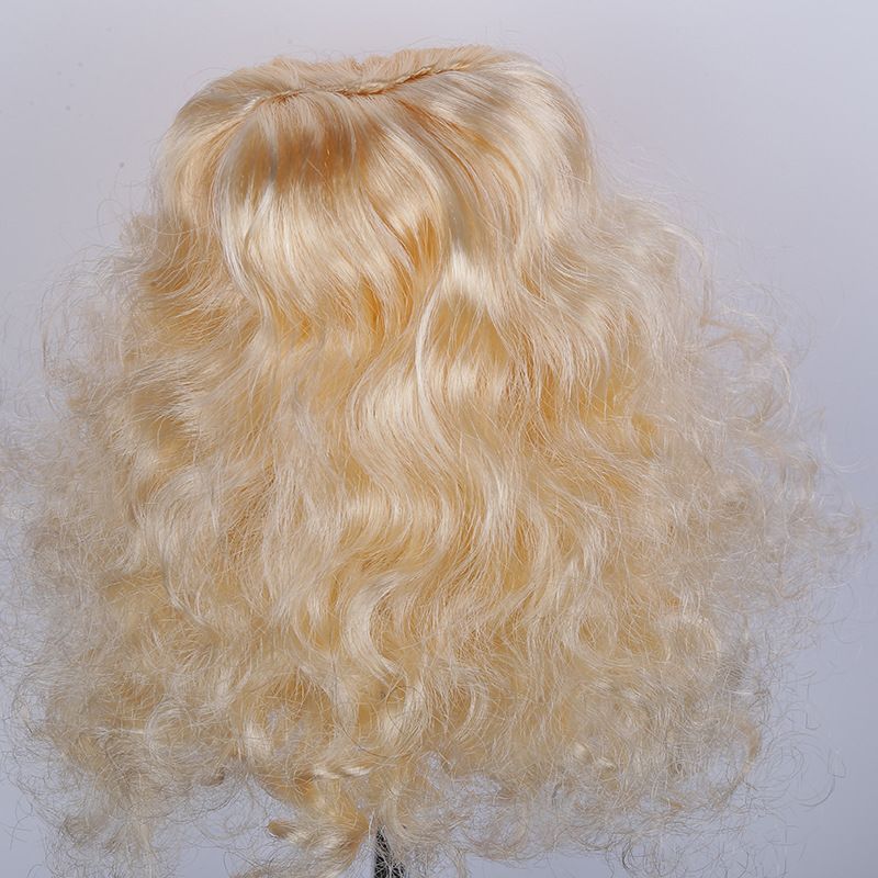 Pet Wig Long Curly Light Gold K Silk P Silk view 4