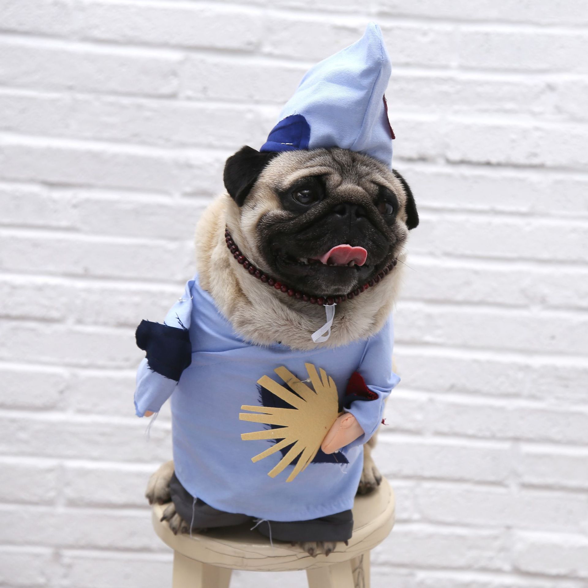 Pet Monk Costume Funny Jigong Standing Dress Polyester view 2