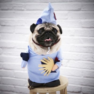 Pet Dog Costume Odd Pet Monk Outfit Polyester Jigong upright outfit S