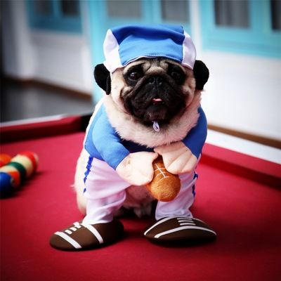 Pet Dog Costume Odd Pet Monk Outfit Polyester Rugby Straight