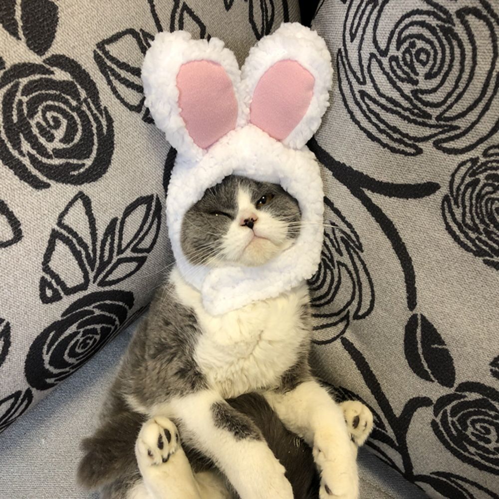 Odd Pet Cat Rabbit Ears Hat White Cloth White Rabbit Hat free size M view 3