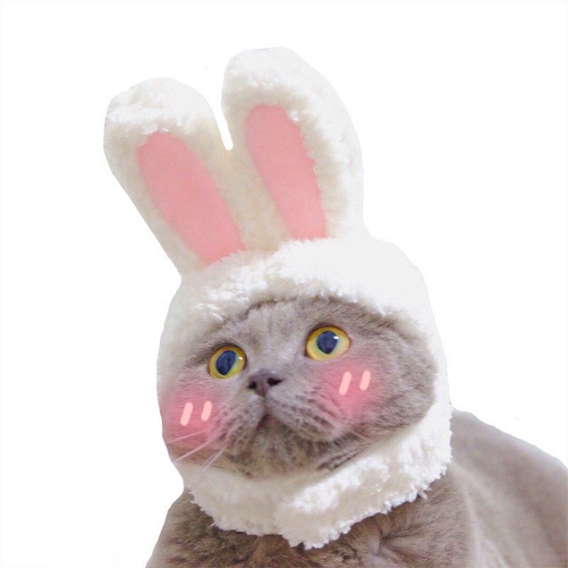 Odd Pet Cat Rabbit Ears Hat White Cloth White Rabbit Hat free size M view 4