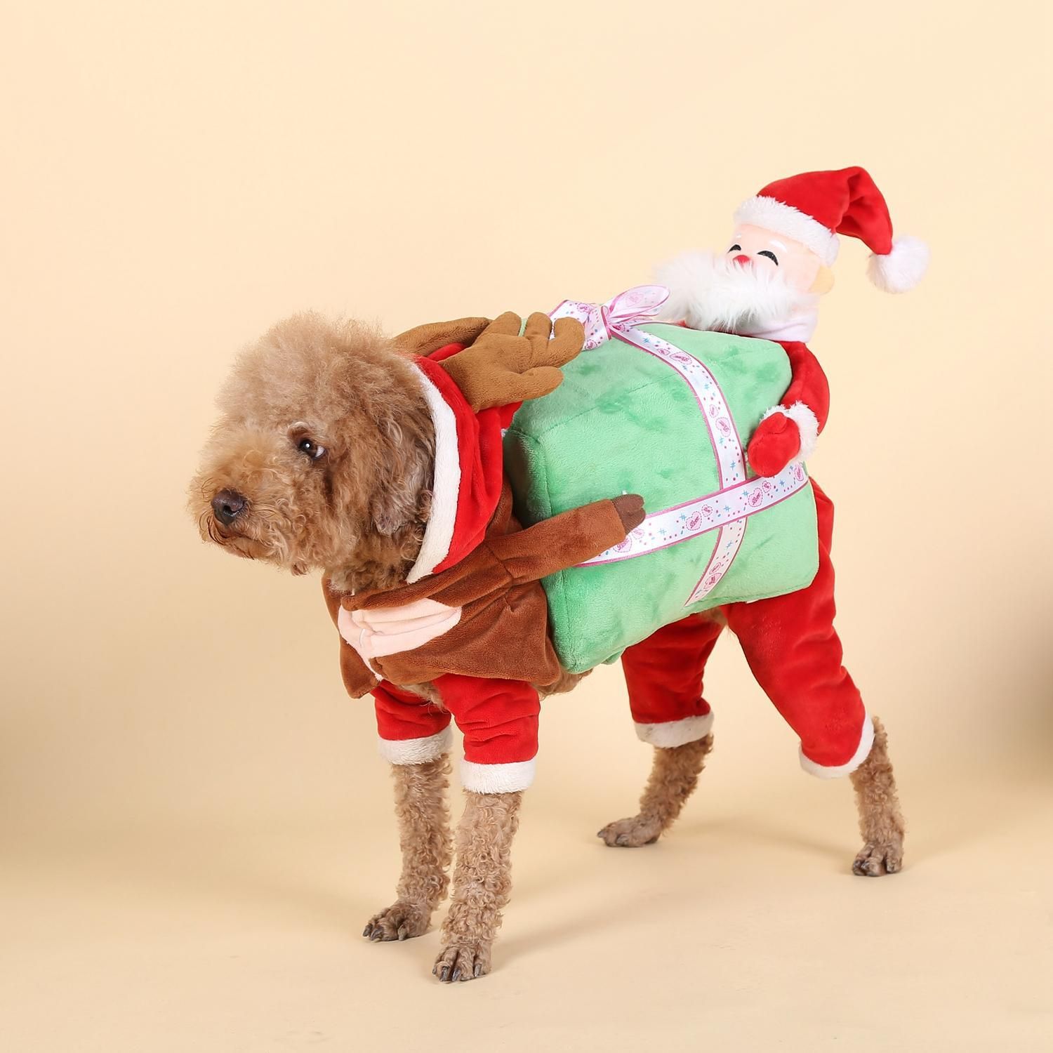 Pet Dog Costume 3D Pumpkin Transformation Cotton S 30 back length view 4