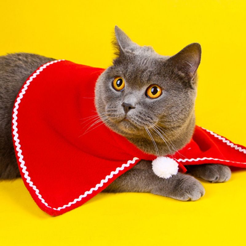 Pet Clothing Christmas Cloak Odd Pet L view 3
