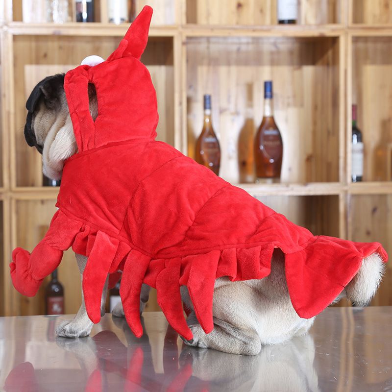 Dog Lobster Costume Qichong Pet Transformation Outfit Lobster Transformation view 2