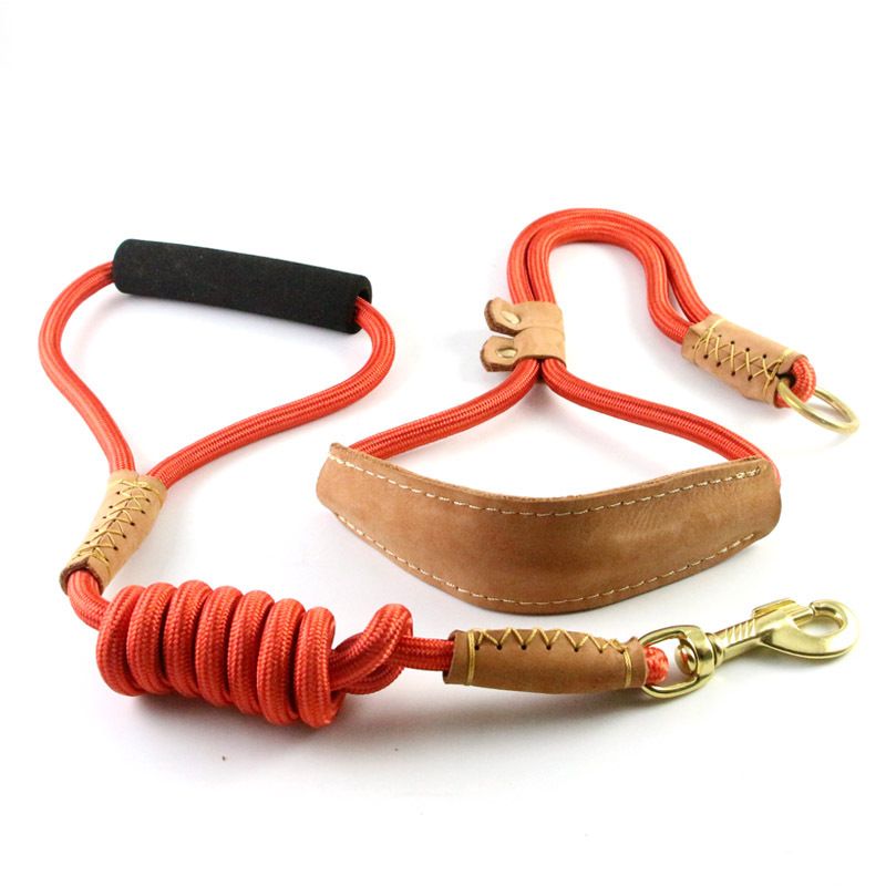 Dog Leash Nylon P Rope Training for Medium Large Dogs Black view 2