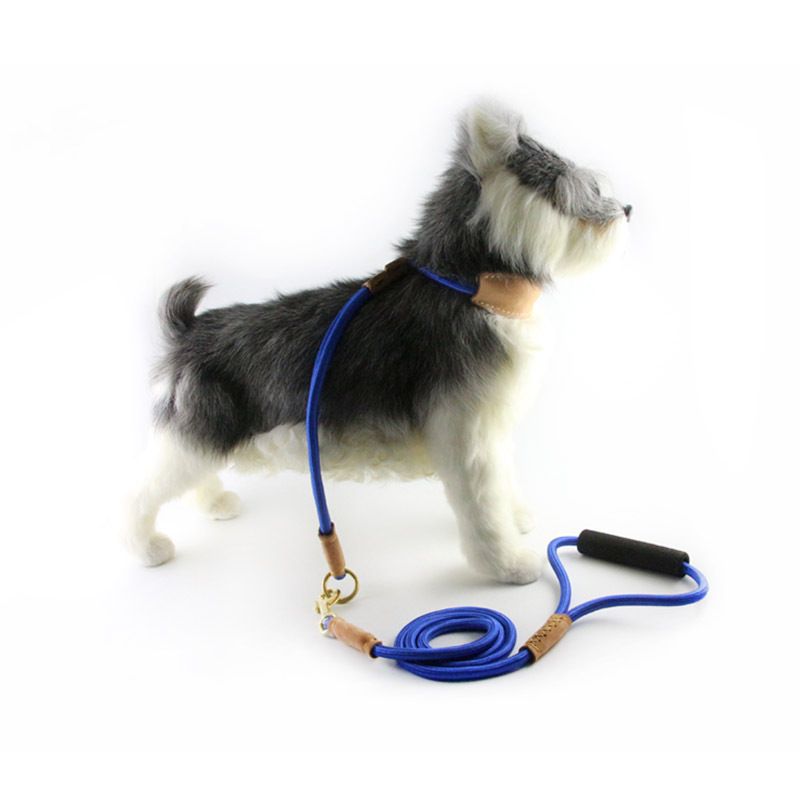 Dog Leash Nylon P Rope Training for Medium Large Dogs Black view 4