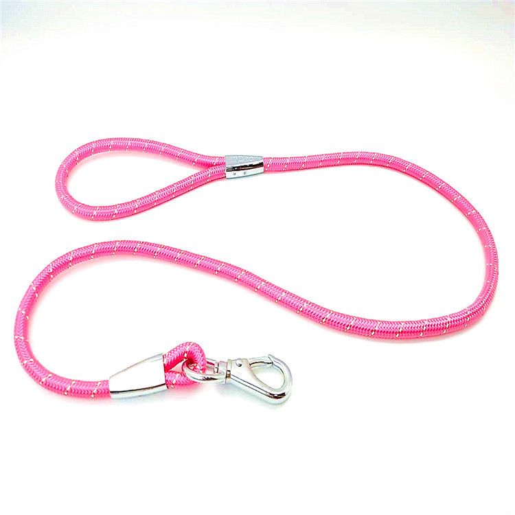 Zichen Nylon Dog Traction Rope Alloy Buckle Powder 1.0