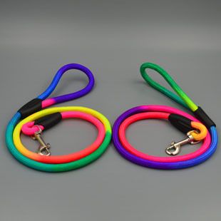 Pet Nylon Leash 120cm for Small Dogs Green 1.0cm thick, 120cm long view 3
