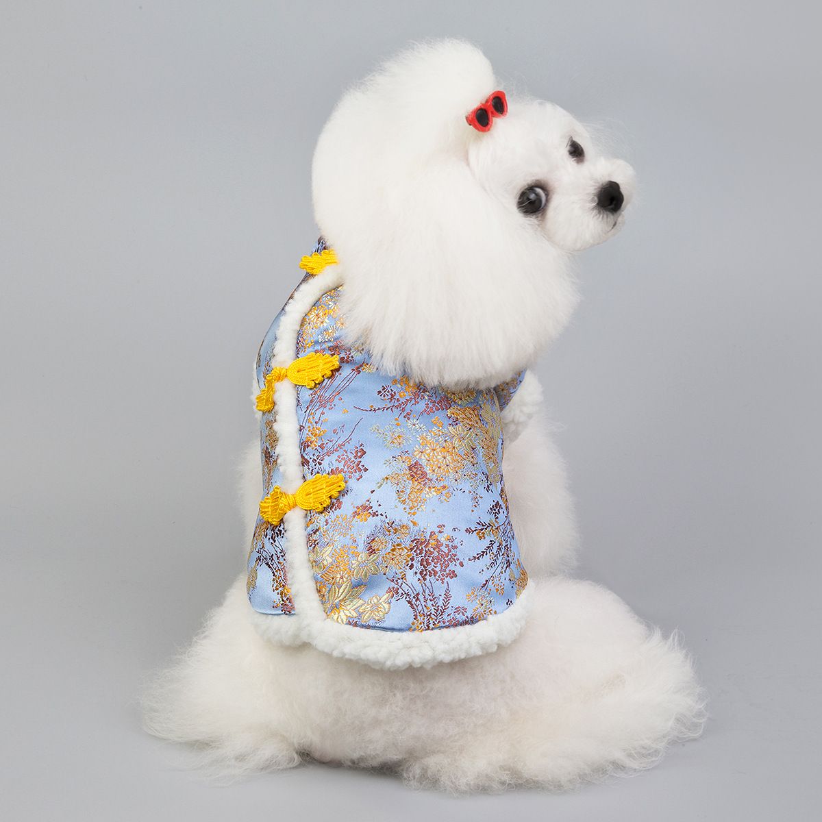 Dogbaby Pet Sweatshirt Cotton Casual Winter Blue M