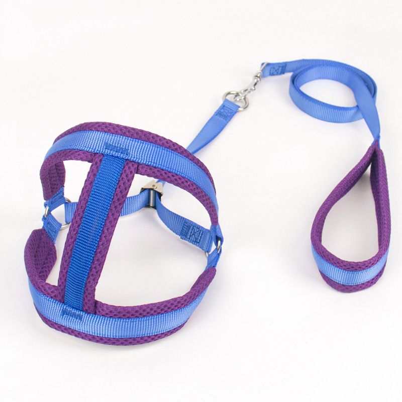 Zichen Nylon Dog Harness Chest Strap Blue 1.5 nylon clip subnet pull chest
