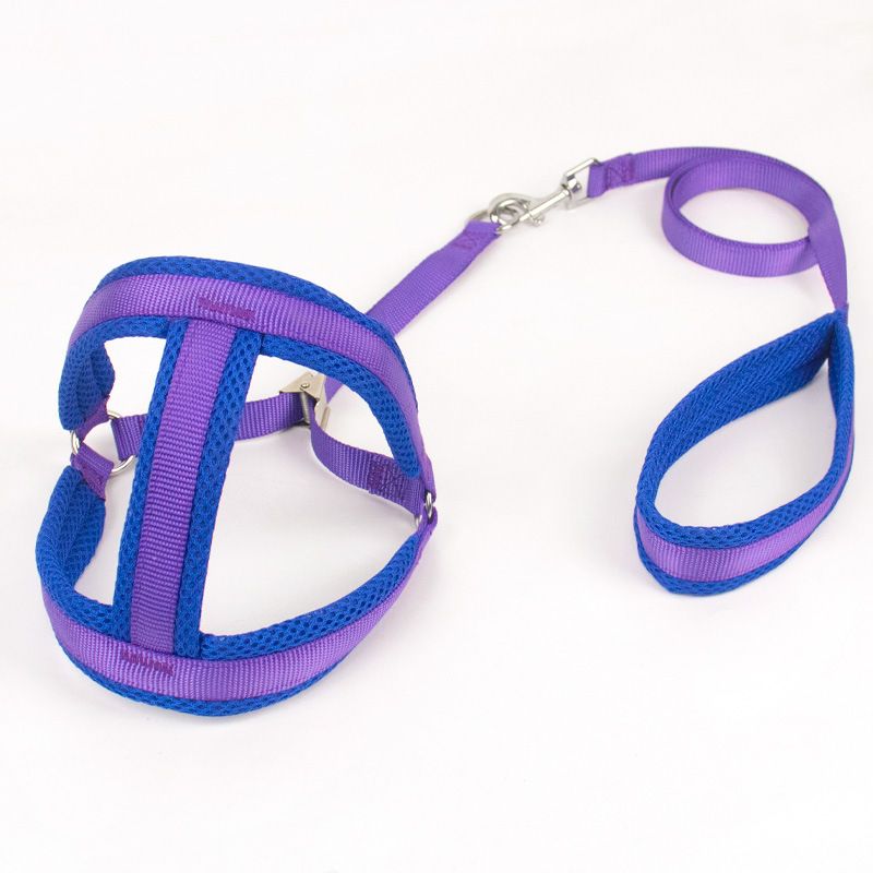 Zichen Nylon Dog Harness Chest Strap Purple 1.5 nylon clip subnet pull chest