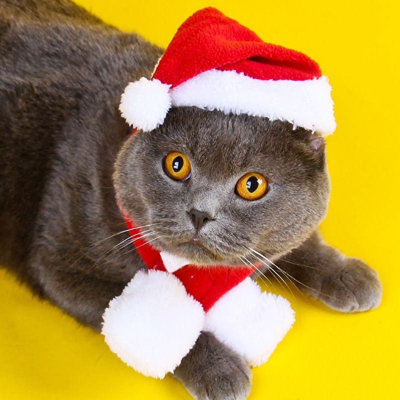 Pet Clothing Christmas Cloak Odd Pet Bell Cape M view 4