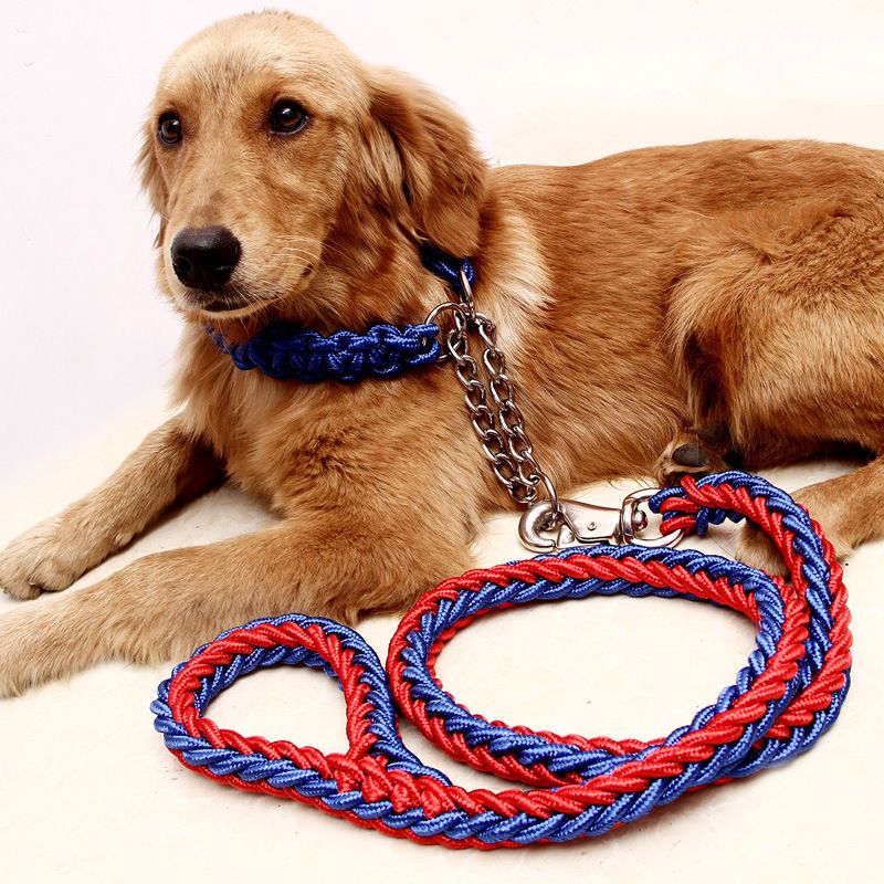 Dog Leash Nylon Hand Woven 1.5cm Red Blue