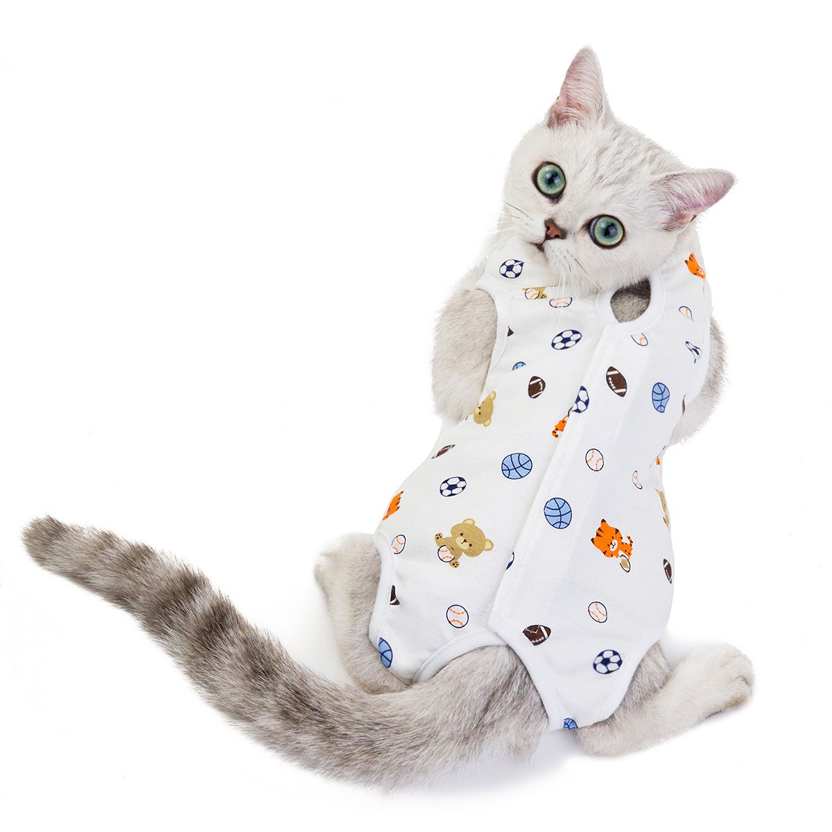 Ada Cat Post Surgery Recovery Clothes Cotton Football M