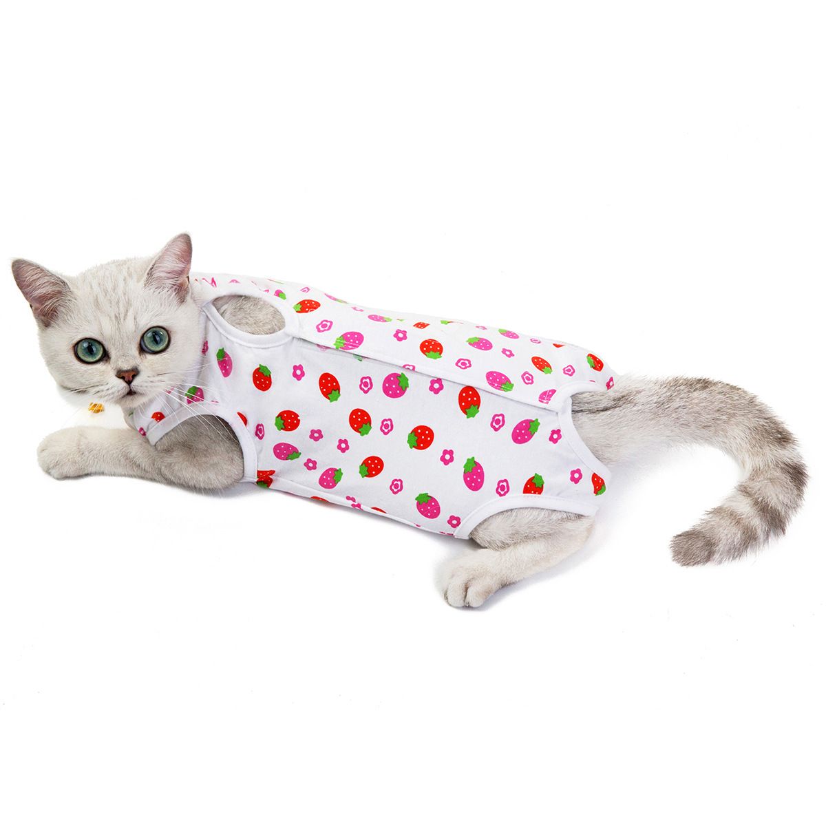 Ada Cat Post Surgery Recovery Clothes Cotton Strawberry XL