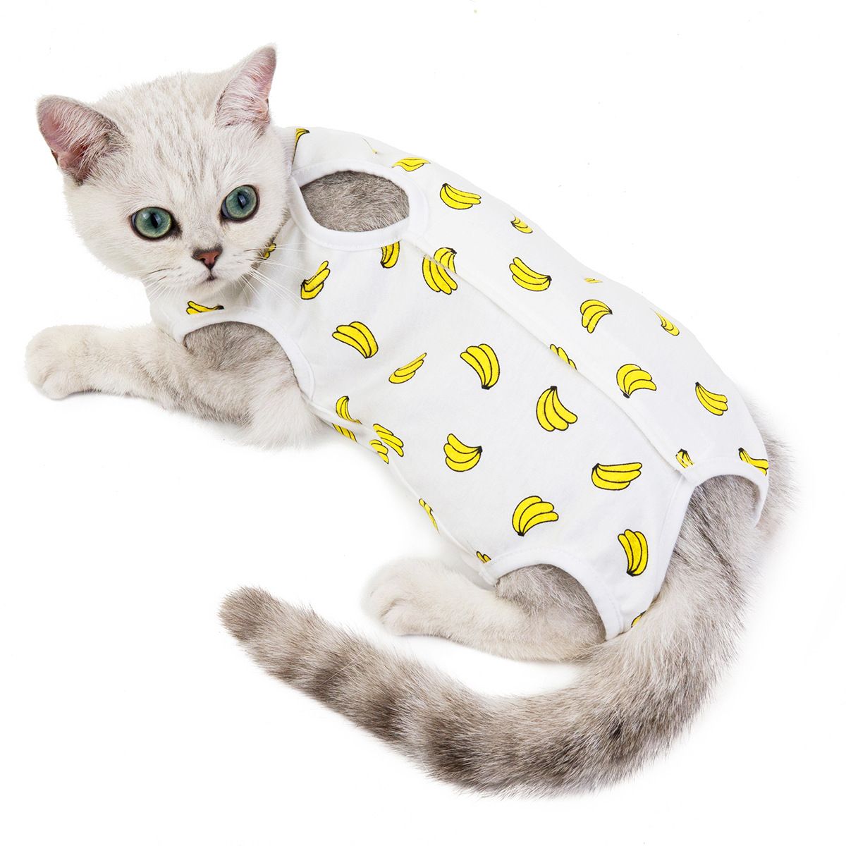 Ada Cat Post Surgery Recovery Clothes Cotton Banana XL