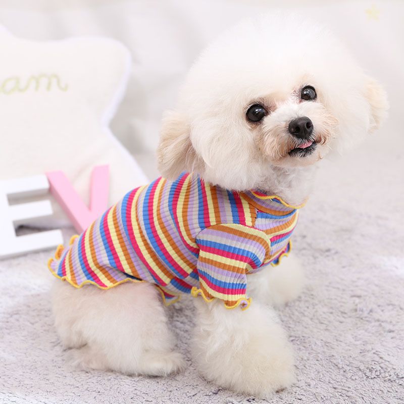 Cotton Knitted Pet Pullover Two Legs Clothes for Dogs Rainbow Strip XXL