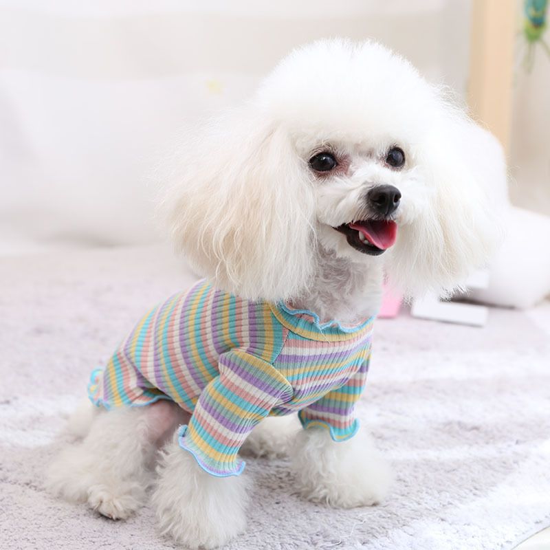 Cotton Knitted Pet Pullover Two Legs Clothes for Dogs Blue and purple strip M