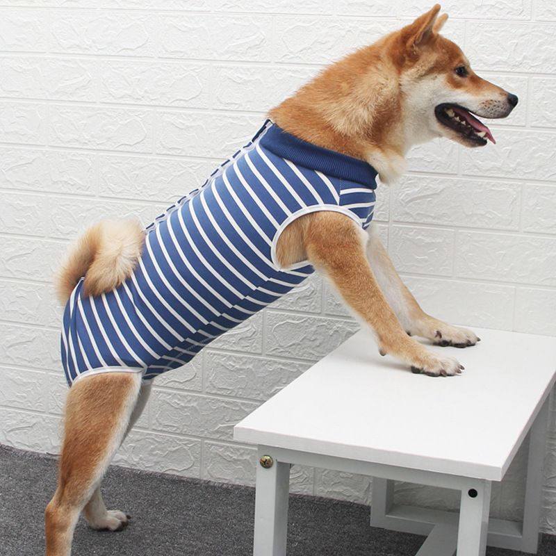 Ada Dog Post Surgery Recovery Clothing Striped Stripes XS