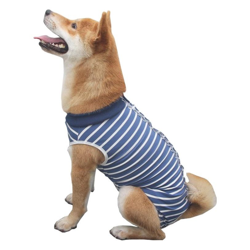 Ada Dog Post Surgery Recovery Clothing Striped Stripes M view 2