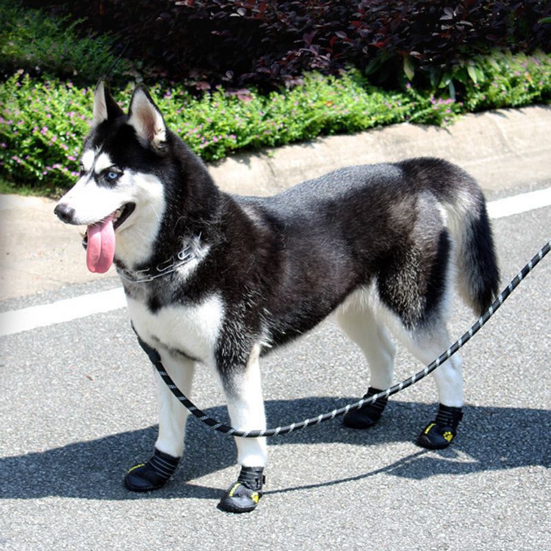 hcpet Dog Traction Rope Nylon Spring Shockproof Black view 2