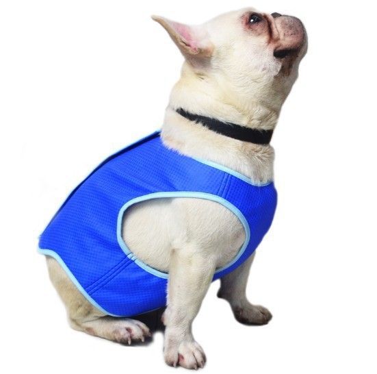 Pet Cooling Vest Summer Dog Cat XS view 4