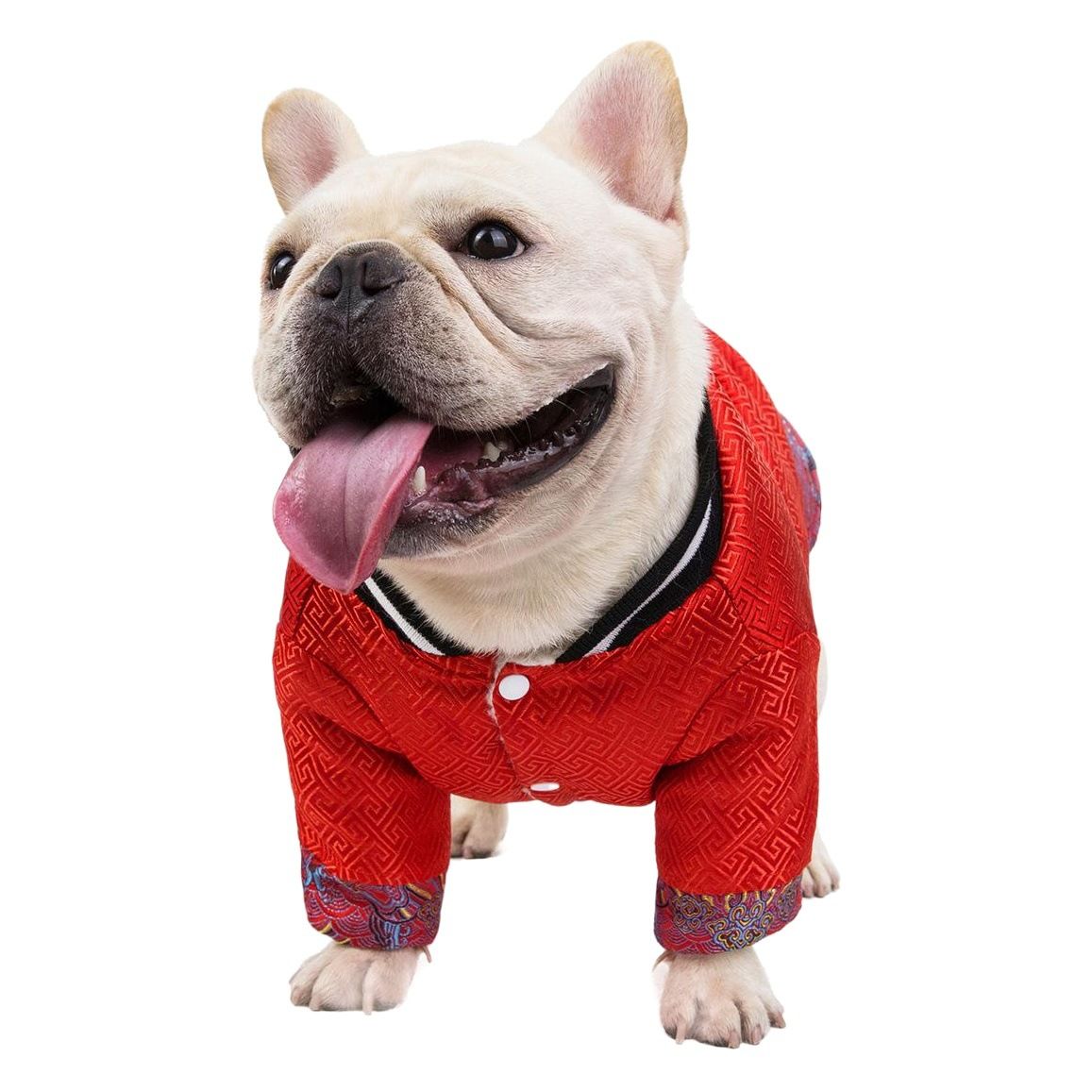 Bulldog Cotton Jacket Dogbaby Winter Pet Clothing Red L view 2