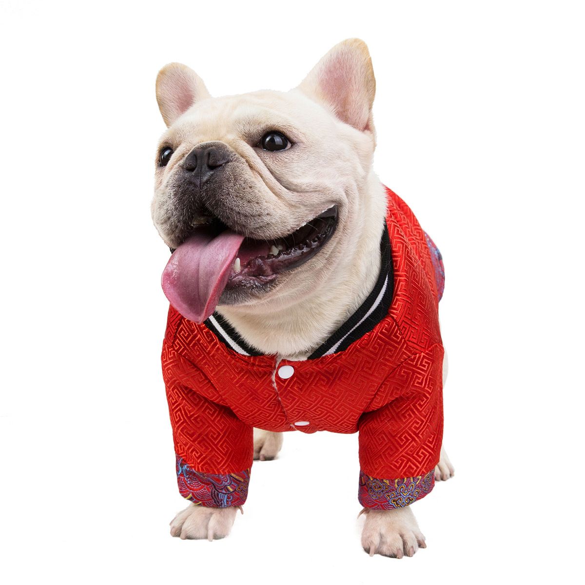 Bulldog Cotton Jacket Dogbaby Winter Pet Clothing Red XL view 3