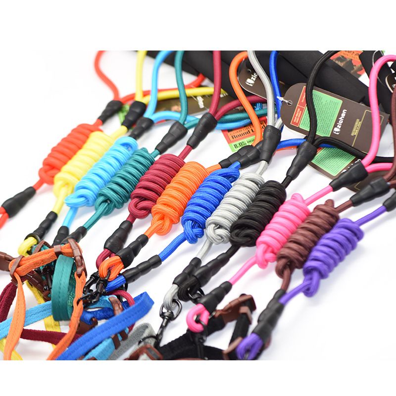 Zichen Dog Nylon Running Leash Collar Set Purple 1.0 round rope +2.0 collar view 5