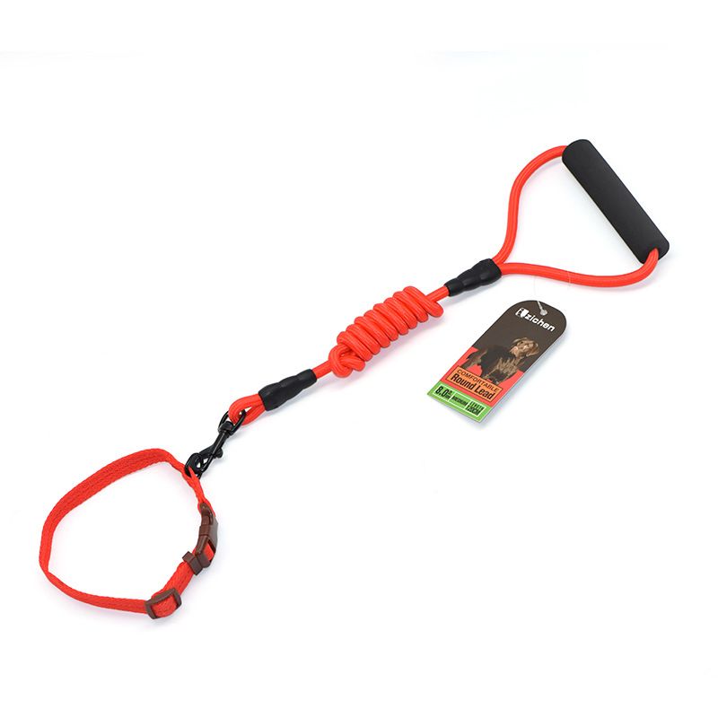 Zichen Dog Nylon Running Leash Collar Set Sky Blue 0.8 round rope +1.5 collar view 6