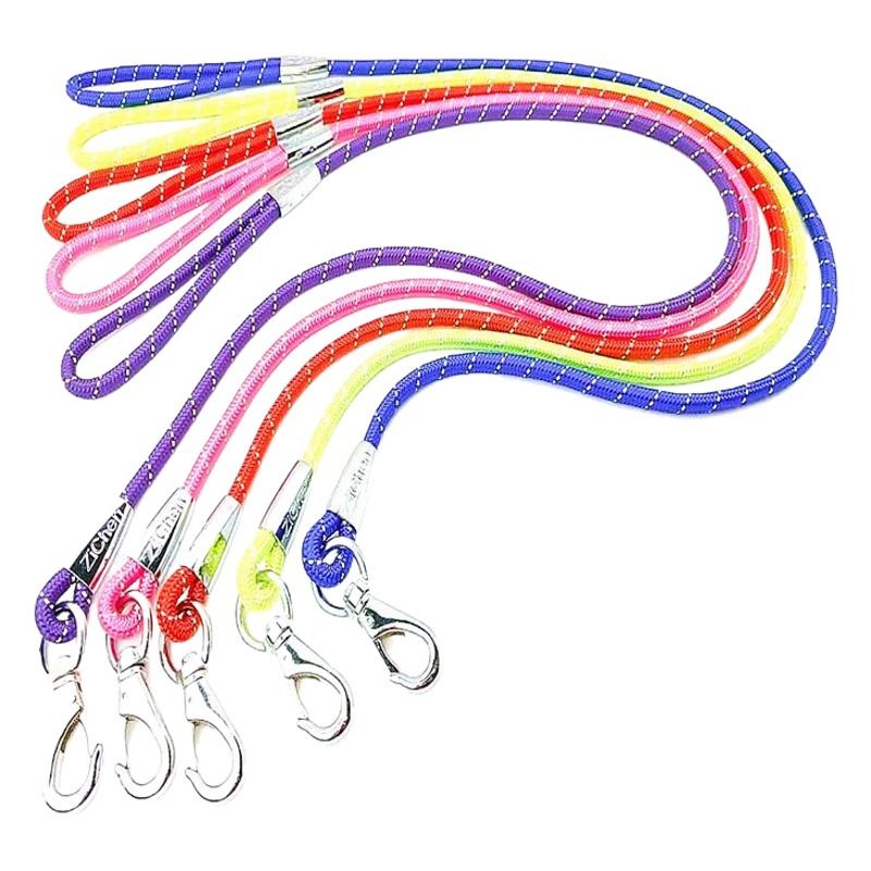 Zichen Nylon Dog Traction Rope Alloy Buckle Blue 1.2 view 2