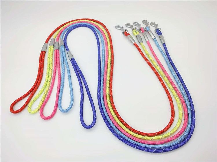 Zichen Nylon Dog Traction Rope Alloy Buckle Sky Blue 0.6 — image 1