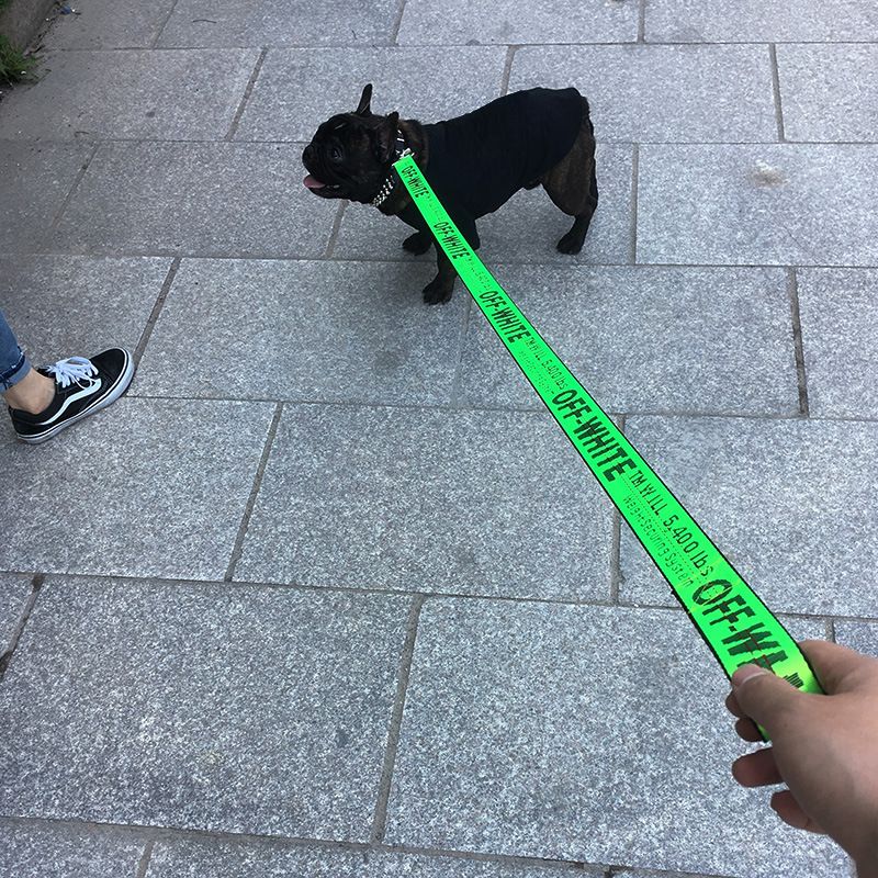 Card Pet Nylon Extendable Dog Leash 150cm Yellow view 4