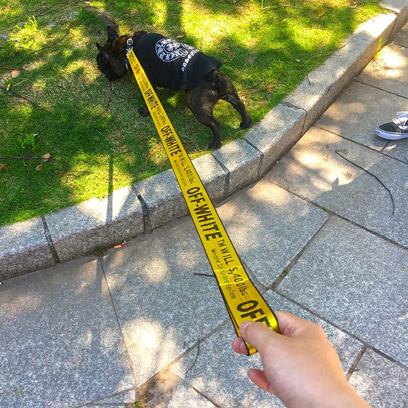 Card Pet Nylon Extendable Dog Leash 150cm Yellow view 5