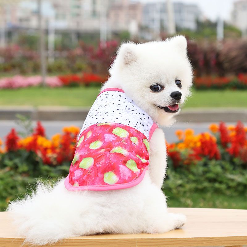 Mesh Pet Vest 3D Print Dog Cat Clothing Vest 3D realistic dragon fruit XS view 4