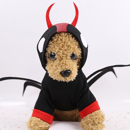 shine Pet Dog Cat Transformation Costume Cotton Hooded two-legged spider turns view 4