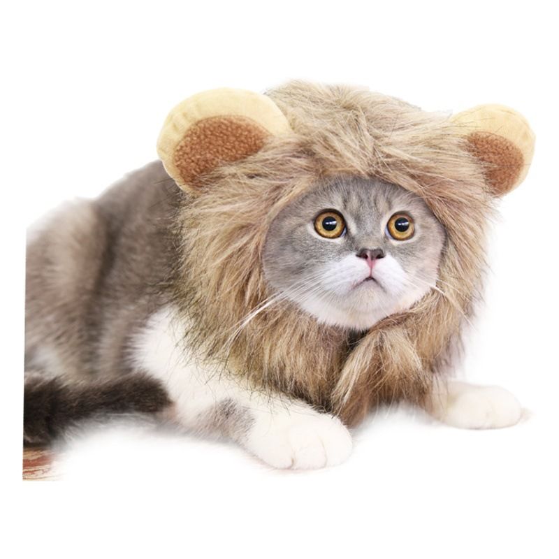 Pet Lion Hat Dog Cat Costume Acrylic Crochet Hat Blue Bear M neck view 2
