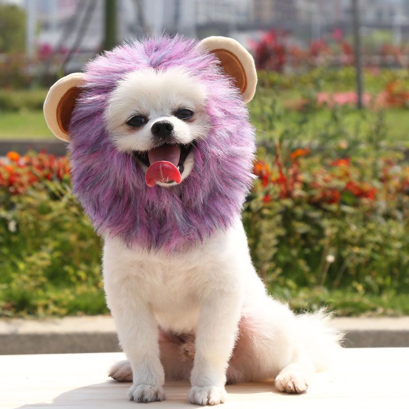 Pet Lion Hat Dog Cat Costume Acrylic Crochet Hat Blue Bear M neck view 4