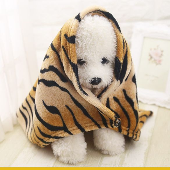 Shine Coral Fleece Pet Blanket for Dogs and Cats Rainbow Blanket S length 55cm view 6