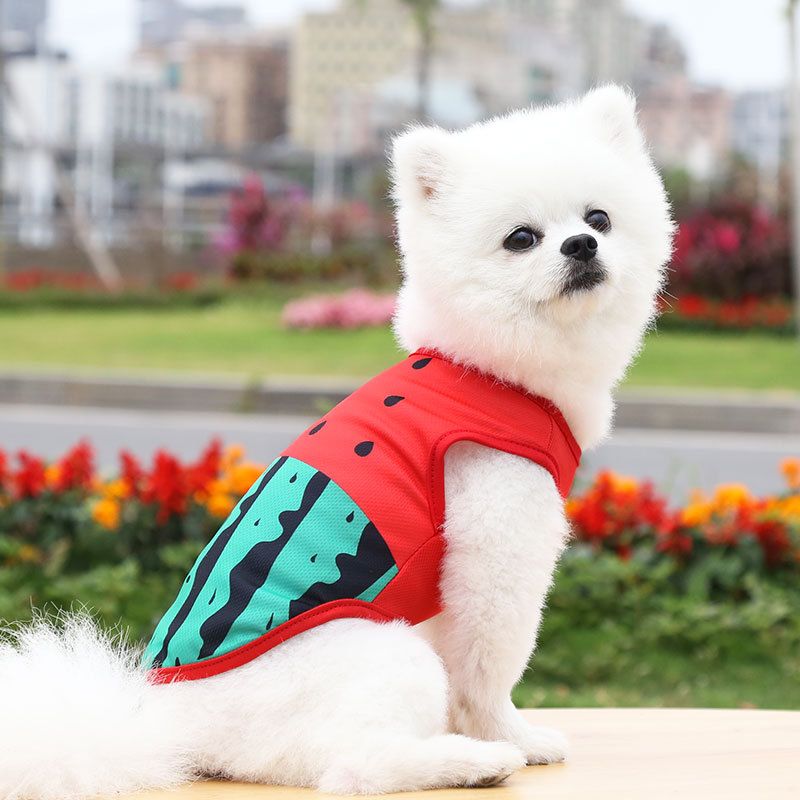 Mesh Pet Vest 3D Print Dog Cat Clothing Vest-Crab XXL view 5